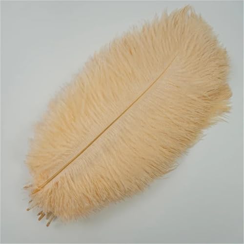 10 Stück große Wispy Plumes 40-45 cm in mehreren Farben zum Basteln von Tischdekorationen und DIY-Schmuck von Generisch