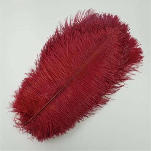 10 Stück große Wispy Plumes 40-45 cm in mehreren Farben zum Basteln von Tischdekorationen und DIY-Schmuck von Generisch
