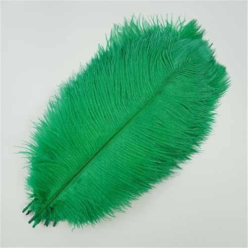 10 Stück große Wispy Plumes 40-45 cm in mehreren Farben zum Basteln von Tischdekorationen und DIY-Schmuck 10 Stück große Wispy Plumes 40-45 cm in mehreren Farben zum Basteln von Tischdekorationen und DIY-Schmuck von Generisch