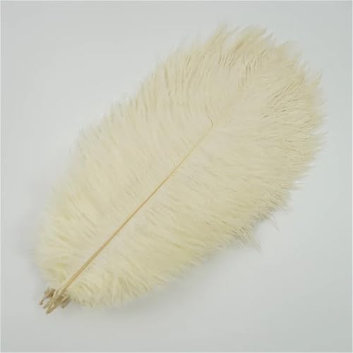 10 Stück große Wispy Plumes 40-45 cm in mehreren Farben zum Basteln von Tischdekorationen und DIY-Schmuck von Generisch