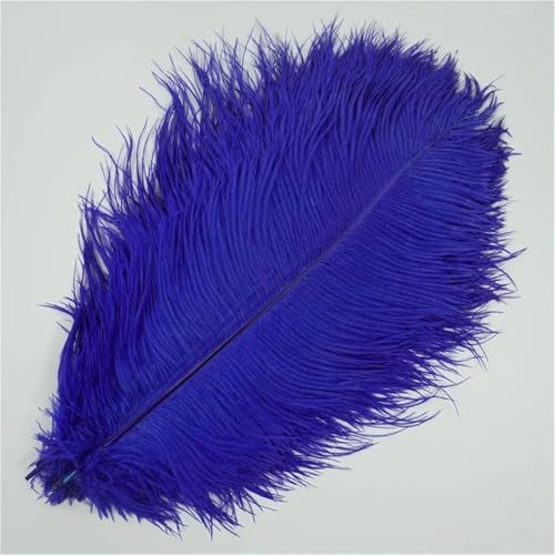 10 Stück große Wispy Plumes 40-45 cm in mehreren Farben zum Basteln von Tischdekorationen und DIY-Schmuck von Generisch