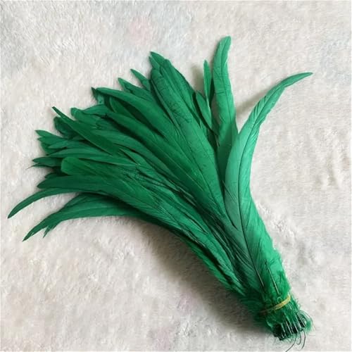 10 Stück natürliche glatte Flügelfedern 15–20 cm zum Basteln von Schmuckherstellung und dekorativem Bastelzubehör 10 Stück natürliche glatte Flügelfedern 15–20 cm zum Basteln von Schmuckherstellung und dekorativem Bastelzubehör von Generisch