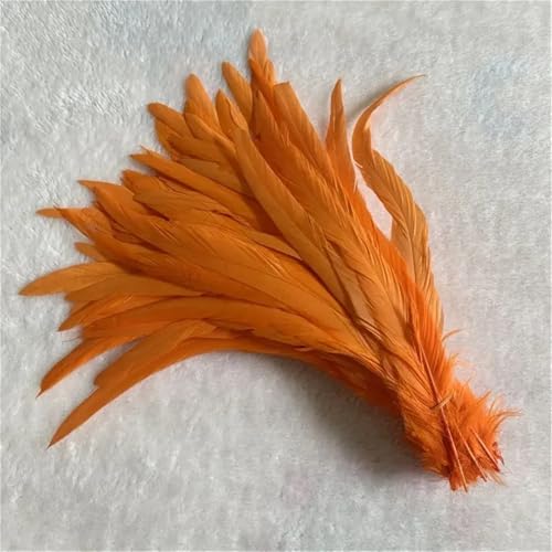10 Stück natürliche glatte Flügelfedern 15–20 cm zum Basteln von Schmuckherstellung und dekorativem Bastelzubehör 10 Stück natürliche glatte Flügelfedern 15–20 cm zum Basteln von Schmuckherstellung und dekorativem Bastelzubehör von Generisch