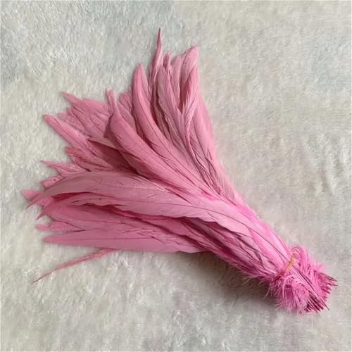10 Stück natürliche glatte Flügelfedern 15–20 cm zum Basteln von Schmuckherstellung und dekorativem Bastelzubehör 10 Stück natürliche glatte Flügelfedern 15–20 cm zum Basteln von Schmuckherstellung und dekorativem Bastelzubehör von Generisch