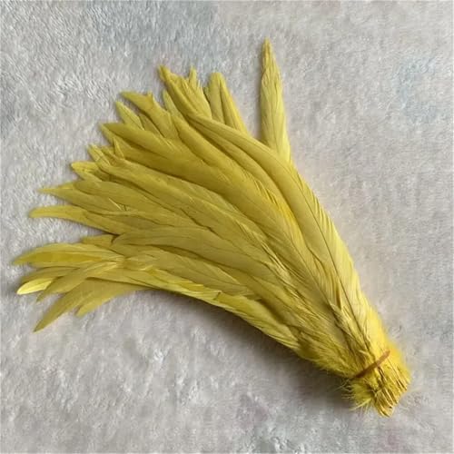10 Stück natürliche glatte Flügelfedern 15–20 cm zum Basteln von Schmuckherstellung und dekorativem Bastelzubehör 10 Stück natürliche glatte Flügelfedern 15–20 cm zum Basteln von Schmuckherstellung und dekorativem Bastelzubehör von Generisch