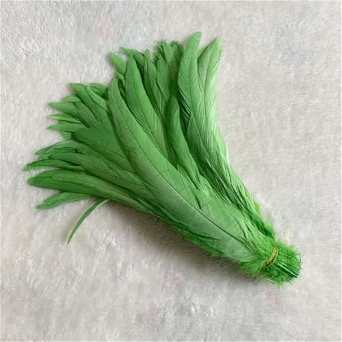 10 Stück natürliche glatte Flügelfedern 15–20 cm zum Basteln von Schmuckherstellung und dekorativem Bastelzubehör 10 Stück natürliche glatte Flügelfedern 15–20 cm zum Basteln von Schmuckherstellung und dekorativem Bastelzubehör von Generisch