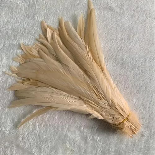 10 Stück natürliche glatte Flügelfedern 15–20 cm zum Basteln von Schmuckherstellung und dekorativem Bastelzubehör 10 Stück natürliche glatte Flügelfedern 15–20 cm zum Basteln von Schmuckherstellung und dekorativem Bastelzubehör von Generisch