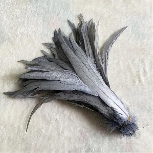 10 Stück natürliche glatte Flügelfedern 15–20 cm zum Basteln von Schmuckherstellung und dekorativem Bastelzubehör 10 Stück natürliche glatte Flügelfedern 15–20 cm zum Basteln von Schmuckherstellung und dekorativem Bastelzubehör von Generisch