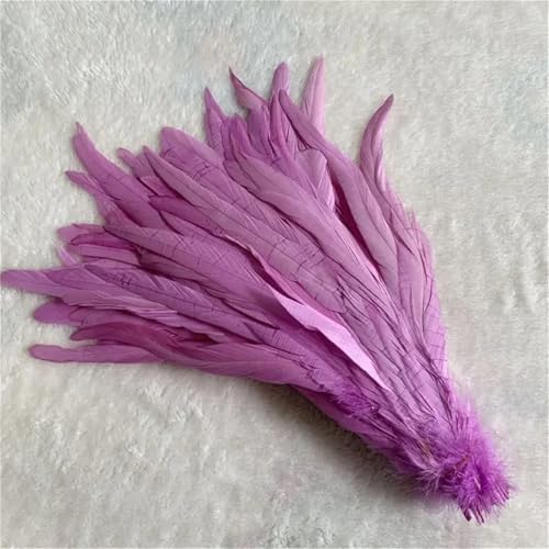 10 Stück natürliche glatte Flügelfedern 15–20 cm zum Basteln von Schmuckherstellung und dekorativem Bastelzubehör 10 Stück natürliche glatte Flügelfedern 15–20 cm zum Basteln von Schmuckherstellung und dekorativem Bastelzubehör von Generisch