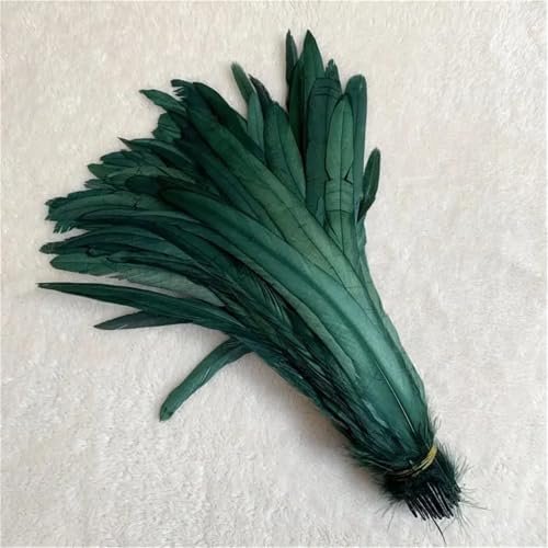 10 Stück natürliche glatte Flügelfedern 15–20 cm zum Basteln von Schmuckherstellung und dekorativem Bastelzubehör 10 Stück natürliche glatte Flügelfedern 15–20 cm zum Basteln von Schmuckherstellung und dekorativem Bastelzubehör von Generisch