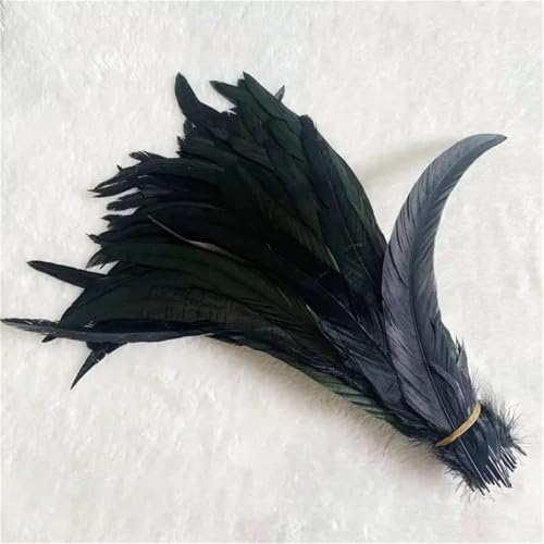 10 Stück natürliche glatte Flügelfedern 15–20 cm zum Basteln von Schmuckherstellung und dekorativem Bastelzubehör 10 Stück natürliche glatte Flügelfedern 15–20 cm zum Basteln von Schmuckherstellung und dekorativem Bastelzubehör von Generisch