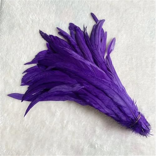10 Stück natürliche glatte Flügelfedern 15–20 cm zum Basteln von Schmuckherstellung und dekorativem Bastelzubehör 10 Stück natürliche glatte Flügelfedern 15–20 cm zum Basteln von Schmuckherstellung und dekorativem Bastelzubehör von Generisch