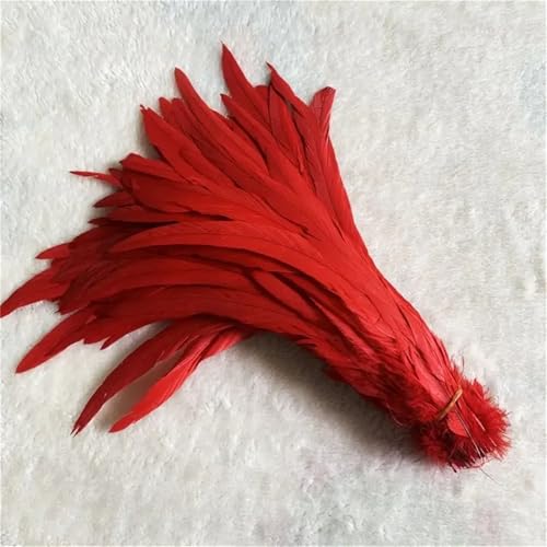 10 Stück natürliche glatte Flügelfedern 15–20 cm zum Basteln von Schmuckherstellung und dekorativem Bastelzubehör 10 Stück natürliche glatte Flügelfedern 15–20 cm zum Basteln von Schmuckherstellung und dekorativem Bastelzubehör von Generisch