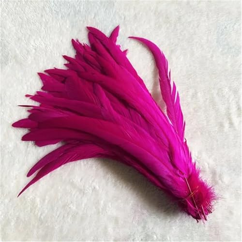 10 Stück natürliche glatte Flügelfedern 15–20 cm zum Basteln von Schmuckherstellung und dekorativem Bastelzubehör 10 Stück natürliche glatte Flügelfedern 15–20 cm zum Basteln von Schmuckherstellung und dekorativem Bastelzubehör von Generisch