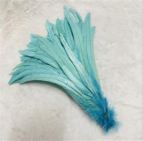 10 Stück natürliche glatte Flügelfedern 15–20 cm zum Basteln von Schmuckherstellung und dekorativem Bastelzubehör 10 Stück natürliche glatte Flügelfedern 15–20 cm zum Basteln von Schmuckherstellung und dekorativem Bastelzubehör von Generisch