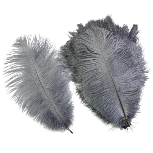 10 Teile/los Farbige Straußenfedern for Handwerk Tischdekoration Hochzeitsdekoration Handwerk Zubehör Karnevalsdekor(02 Grey,35-40cm 14-16inch) von Generisch