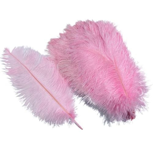 10 Teile/los Farbige Straußenfedern for Handwerk Tischdekoration Hochzeitsdekoration Handwerk Zubehör Karnevalsdekor(03 Pink,30-35cm 12-14inch) von Generisch