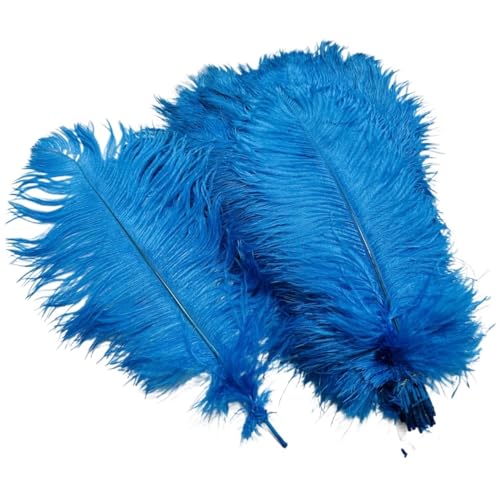 10 Teile/los Farbige Straußenfedern for Handwerk Tischdekoration Hochzeitsdekoration Handwerk Zubehör Karnevalsdekor(04 Lake Blue,20-25cm 8-10inch) von Generisch