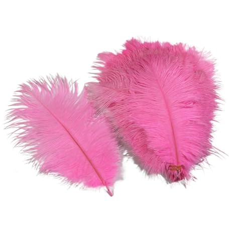 10 Teile/los Farbige Straußenfedern for Handwerk Tischdekoration Hochzeitsdekoration Handwerk Zubehör Karnevalsdekor(05 Pink,35-40cm 14-16inch) von Generisch