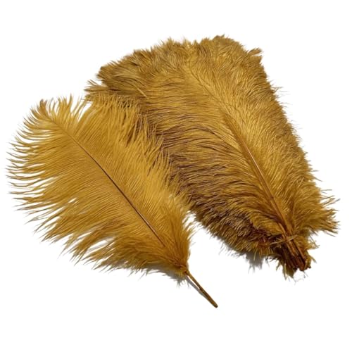 10 Teile/los Farbige Straußenfedern for Handwerk Tischdekoration Hochzeitsdekoration Handwerk Zubehör Karnevalsdekor(07 Golden,35-40cm 14-16inch) von Generisch