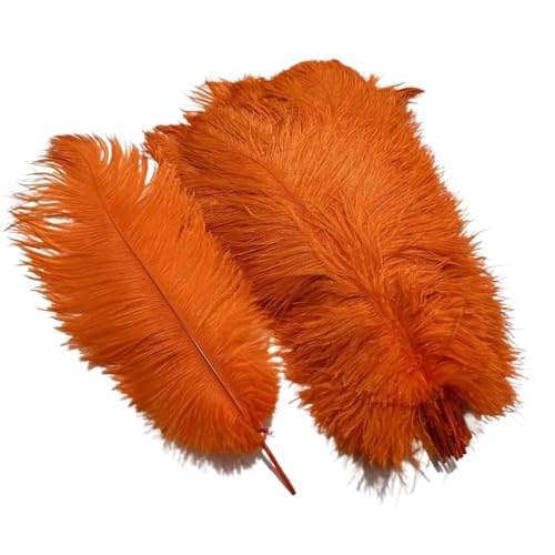 10 Teile/los Farbige Straußenfedern for Handwerk Tischdekoration Hochzeitsdekoration Handwerk Zubehör Karnevalsdekor(09 Orange,25-30cm 10-12inch) von Generisch