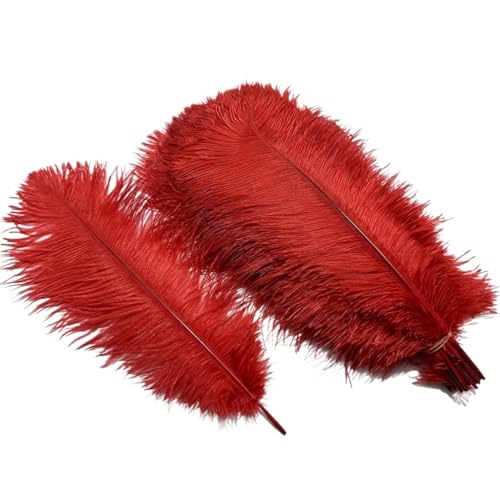 10 Teile/los Farbige Straußenfedern for Handwerk Tischdekoration Hochzeitsdekoration Handwerk Zubehör Karnevalsdekor(12 Red,35-40cm 14-16inch) von Generisch