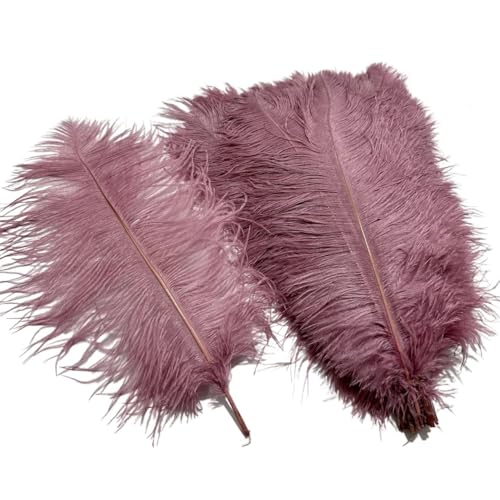 10 Teile/los Farbige Straußenfedern for Handwerk Tischdekoration Hochzeitsdekoration Handwerk Zubehör Karnevalsdekor(13 Camen,35-40cm 14-16inch) von Generisch
