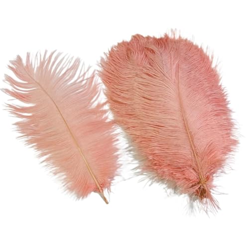 10 Teile/los Farbige Straußenfedern for Handwerk Tischdekoration Hochzeitsdekoration Handwerk Zubehör Karnevalsdekor(14 Shell pink,20-25cm 8-10inch) von Generisch