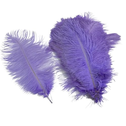 10 Teile/los Farbige Straußenfedern for Handwerk Tischdekoration Hochzeitsdekoration Handwerk Zubehör Karnevalsdekor(15 Light Purple,35-40cm 14-16inch) von Generisch