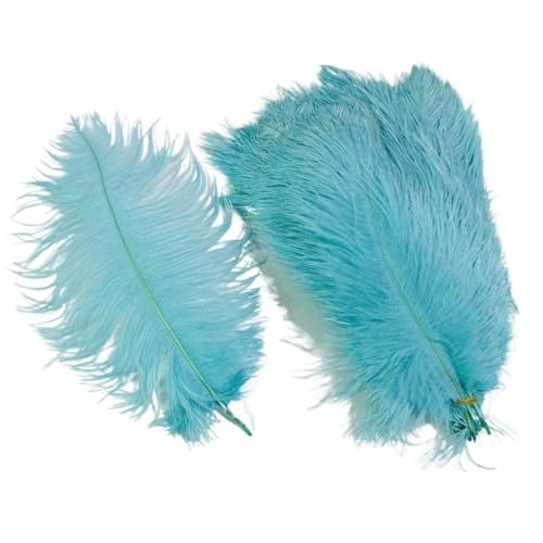 10 Teile/los Farbige Straußenfedern for Handwerk Tischdekoration Hochzeitsdekoration Handwerk Zubehör Karnevalsdekor(16 Mint Green,30-35cm 12-14inch) von Generisch