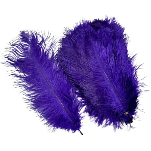 10 Teile/los Farbige Straußenfedern for Handwerk Tischdekoration Hochzeitsdekoration Handwerk Zubehör Karnevalsdekor(17 Purple,35-40cm 14-16inch) von Generisch
