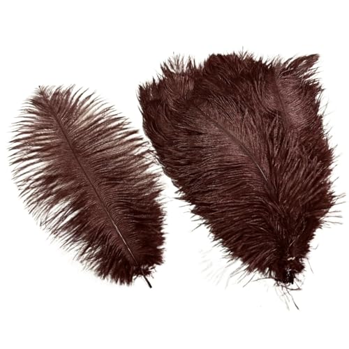 10 Teile/los Farbige Straußenfedern for Handwerk Tischdekoration Hochzeitsdekoration Handwerk Zubehör Karnevalsdekor(18 Dark Brown,35-40cm 14-16inch) von Generisch