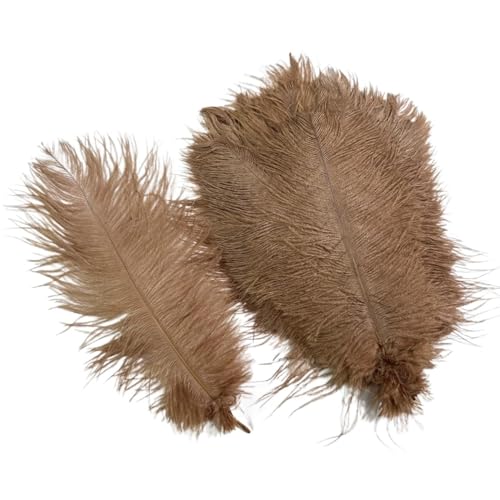 10 Teile/los Farbige Straußenfedern for Handwerk Tischdekoration Hochzeitsdekoration Handwerk Zubehör Karnevalsdekor(19 Light Coffee,35-40cm 14-16inch) von Generisch