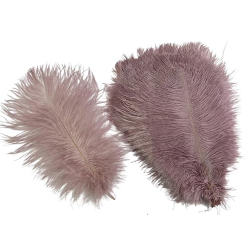 10 Teile/los Farbige Straußenfedern for Handwerk Tischdekoration Hochzeitsdekoration Handwerk Zubehör Karnevalsdekor(24 Leather pink,35-40cm 14-16inch) von Generisch