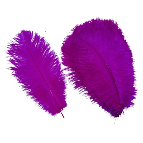 10 Teile/los Farbige Straußenfedern for Handwerk Tischdekoration Hochzeitsdekoration Handwerk Zubehör Karnevalsdekor(26 Rose,20-25cm 8-10inch) von Generisch