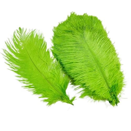 10 Teile/los Farbige Straußenfedern for Handwerk Tischdekoration Hochzeitsdekoration Handwerk Zubehör Karnevalsdekor(27 Apple Green,25-30cm 10-12inch) von Generisch