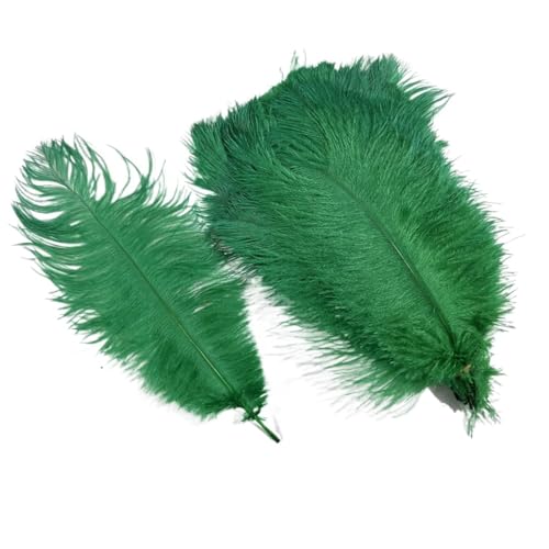 10 Teile/los Farbige Straußenfedern for Handwerk Tischdekoration Hochzeitsdekoration Handwerk Zubehör Karnevalsdekor(29 Grass Green,30-35cm 12-14inch) von Generisch