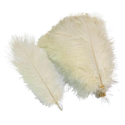 10 Teile/los Farbige Straußenfedern for Handwerk Tischdekoration Hochzeitsdekoration Handwerk Zubehör Karnevalsdekor(31 Beige,20-25cm 8-10inch) von Generisch
