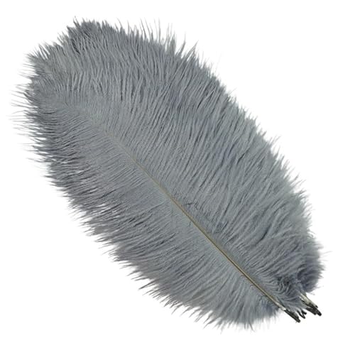10 Teile/los Straußenfedern for Handwerk Fotografie Requisiten Schmuck Hintergrund DIY Hochzeit Party Dekoration Traumfänger Zubehör(Gray,20-25cm 8-10inch) von Generisch