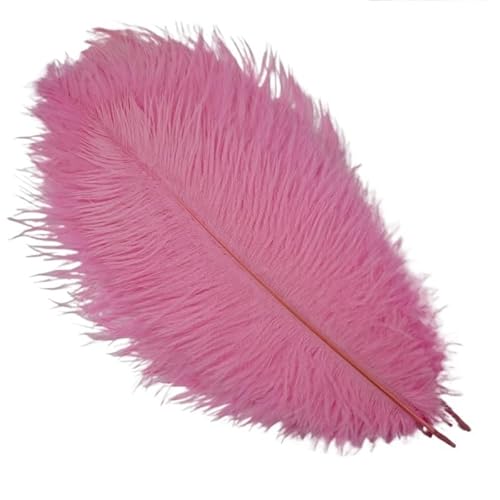 10 Teile/los Straußenfedern for Handwerk Fotografie Requisiten Schmuck Hintergrund DIY Hochzeit Party Dekoration Traumfänger Zubehör(Pink,20-25cm 8-10inch) von Generisch