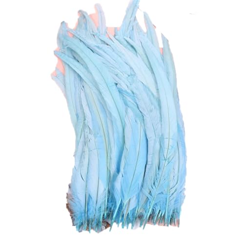 100–1000 Stück, 40–45 cm, farbige Hahnschwanzfedern, Karnevals-Zubehör, Hochzeit, Party, Dekoration, DIY, Hellblau, 1000 Stück von Generisch