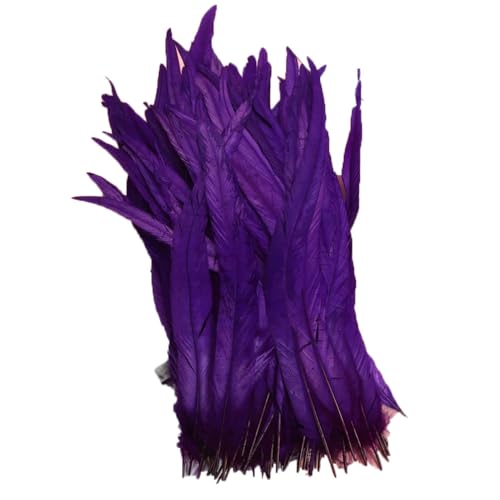 100–1000 Stück, 40–45 cm, farbige Hahnschwanzfedern, Karnevals-Zubehör, Hochzeit, Party, Dekoration, DIY, Lila, 500 Stück 100–1000 Stück, 40–45 cm, farbige Hahnschwanzfedern, Karnevals-Zubehör, Hochzeit, Party, Dekoration, DIY, Lila, 500 Stück von Generisch