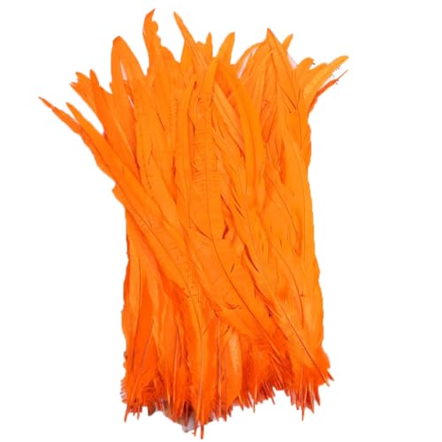 100–1000 Stück, 40–45 cm, farbige Hahnschwanzfedern, Karnevals-Zubehör, Hochzeit, Party, Dekoration, DIY, Orange, 1000 Stück von Generisch