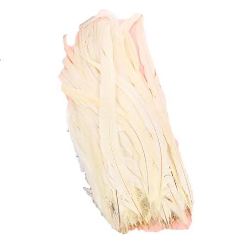 100–1000 Stück 40–45 cm farbige Hahnschwanzfedern, Karnevals-Zubehör, Hochzeit, Party, Dekoration, DIY, Beige, 500 Stück von Generisch
