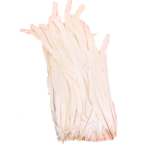100–1000 Stück 40–45 cm farbige Hahnschwanzfedern, Karnevals-Zubehör, Hochzeit, Party, Dekoration, DIY, Beige, Weiß, 1000 Stück 100–1000 Stück 40–45 cm farbige Hahnschwanzfedern, Karnevals-Zubehör, Hochzeit, Party, Dekoration, DIY, Beige, Weiß, 1000 Stück von Generisch