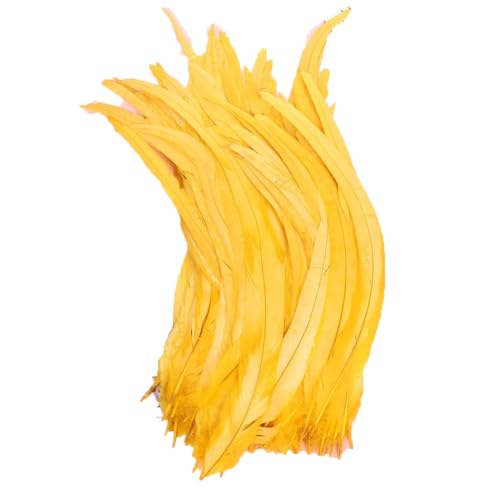 100–1000 Stück 40–45 cm farbige Hahnschwanzfedern, Karnevals-Zubehör, Hochzeit, Party, Dekoration, DIY, Goldgelb, 500 Stück von Generisch