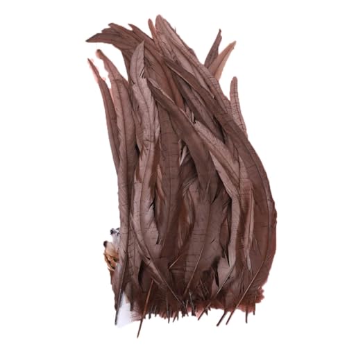 100–1000 Stück 40–45 cm farbige Hahnschwanzfedern, Karnevals-Zubehör, Hochzeit, Party, Dekoration, DIY, Kaffee, 500 Stück von Generisch