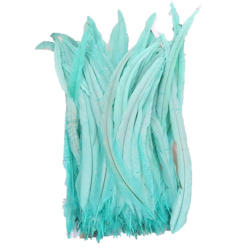 100–1000 Stück 40–45 cm farbige Hahnschwanzfedern, Karnevals-Zubehör, Hochzeit, Party, Dekoration, DIY, Minze, 1000 Stück von Generisch