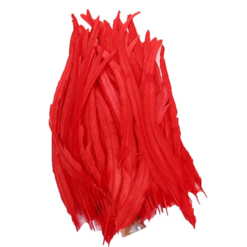 100–1000 Stück 40–45 cm farbige Hahnschwanzfedern, Karnevals-Zubehör, Hochzeit, Party, Dekoration, DIY, Rot, 500 Stück von Generisch