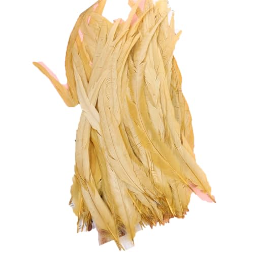 100–1000 Stück 40–45 cm farbige Hahnschwanzfedern, Karnevalszubehör, Hochzeit, Party, Dekoration, DIY, Hellgold, 300 Stück 100–1000 Stück 40–45 cm farbige Hahnschwanzfedern, Karnevalszubehör, Hochzeit, Party, Dekoration, DIY, Hellgold, 300 Stück von Generisch